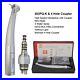 BEING Dental Handpiece High Speed Turbine Mini KaVo MULTIflex Coupling 4 Holes