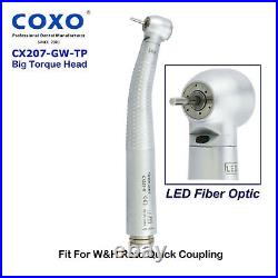 COXO CX207-G Dental Fiber Optic High Speed Turbine Handpiece for WithH RQ Coupler