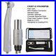 COXO Dental High Speed Handpiece 4 6Holes Fiber Optic Turbine Fit NSK Machlite