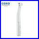 COXO Dental LED Fiber Optic High Speed Handpiece Fit KaVo MULTiflex NSK Phatelus