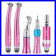 Dental Color High and Low Speed Handpiece Kit Contra Angle Straight Air motor