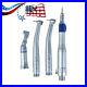 NSK Style Pana Max Dental High and Low Speed Handpiece Kit 2/4 Holes Joydental