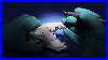 Veterinary Dental High Speed Hand Piece Drill With Led U0026 Swivel Handpiece